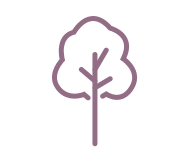 Grow Tree icon